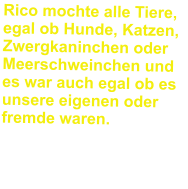 Rico mochte alle Tiere, egal ob Hunde, Katzen, Zwergkaninchen oder Meerschweinchen und es war auch egal ob es unsere eigenen oder fremde waren.